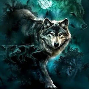 Wolves $$%