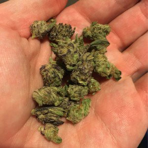Arizonas Finest