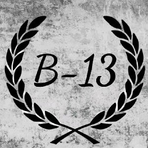 B 13