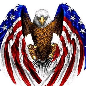 American eagle