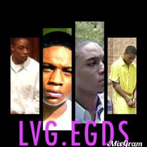LVG.EGDS