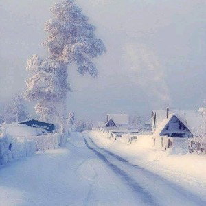 Месиво 