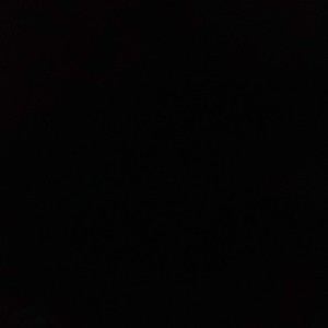 BLACK BANDACOTTS. ENT