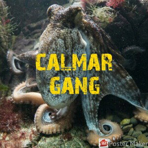 Calmar gang