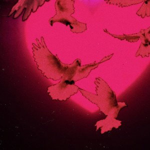 LET THE BIRDS OUT 