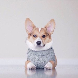 Репер