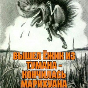 #Лирика