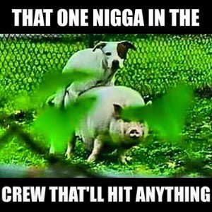 The crew of begginers 