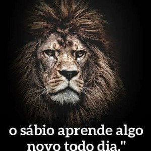 LION GÃNGSTER 