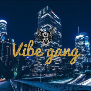 Vibe gang
