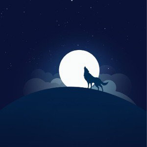 Wolf solo