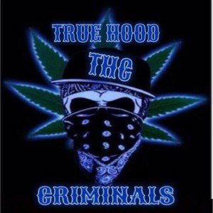 True Hood Criminals