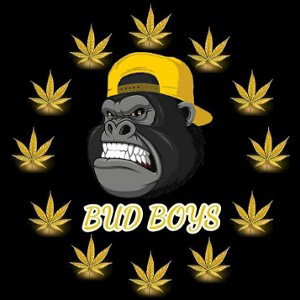 BudBoys