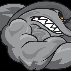 SHARKGANG #SG 
