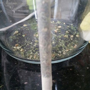 <-420->