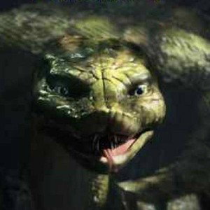Cerveau Raptilien 