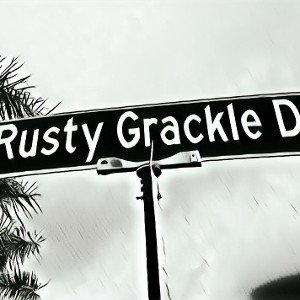 RustyGrackleBoyz