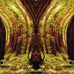 DISTORTION 