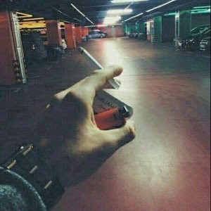 (P.O.L.I.G.O.N)