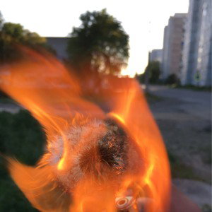 Dead love