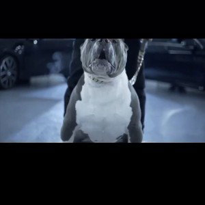 BE&NL UNDERGROUND RAPPERS