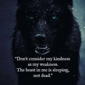 Alpha Wolf Alliance
