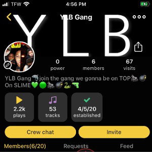 YLB Gang