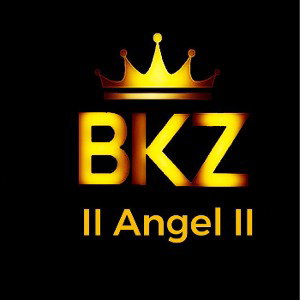 BKZ Team