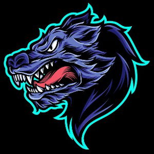 NIGHT WOLVES