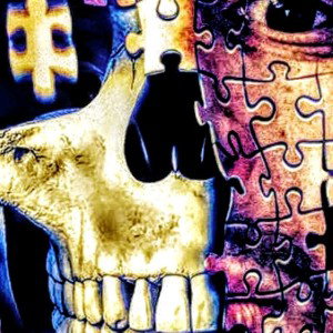 Real Execution Music