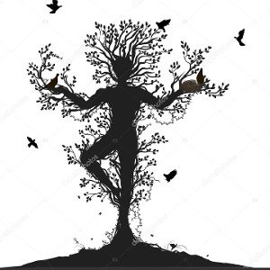 The shadow 