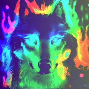 The Lone Wolf Pack 