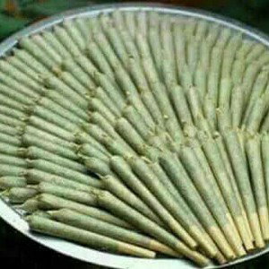 الجيل القادم