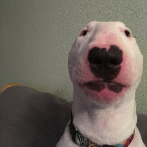 Caco-Pogger