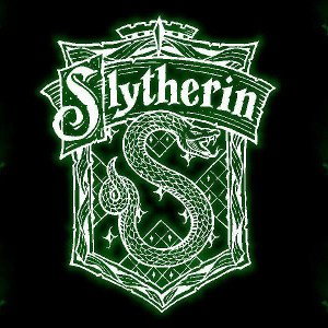 Slytherin Heirs