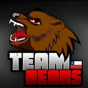 Team Bears