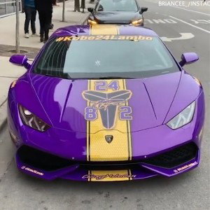 MEMBERS ONLY VERY RARE