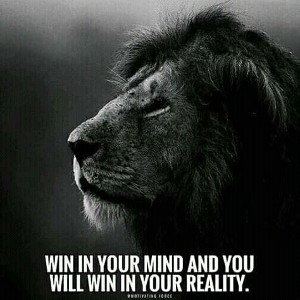 No fear and no game