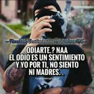 Reales MC malandros