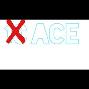 X13 Ace