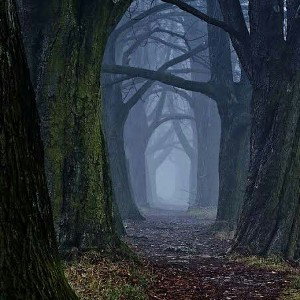 Endless Stories
