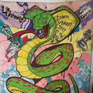 Cobra Venom Spit At The System. 