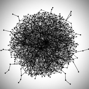 rhizome