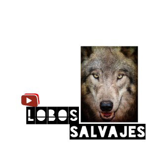 Lobos Salvajes