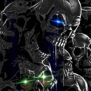 Night Crew