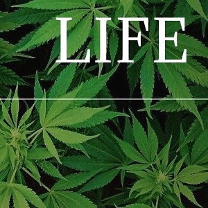 Rap420