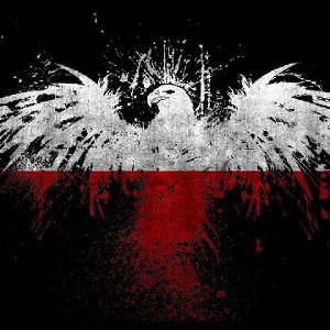 [PWS] Polish Warriors