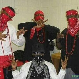 MafGang