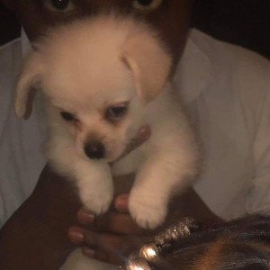 #casper gangers
