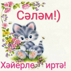 Читерам нельзя